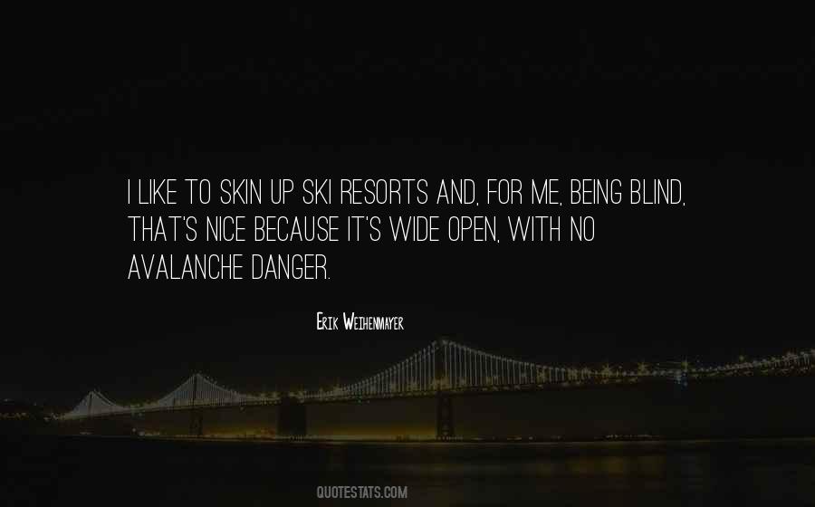 Erik Weihenmayer Quotes #891698