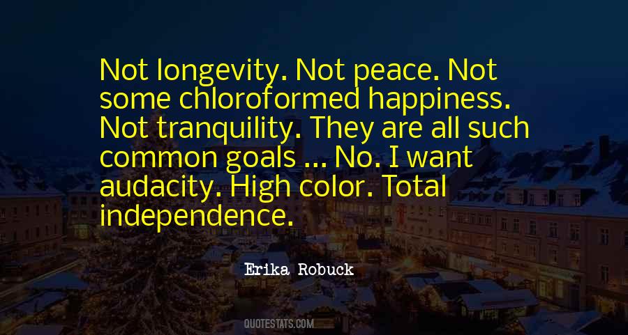 Erika Robuck Quotes #1616043