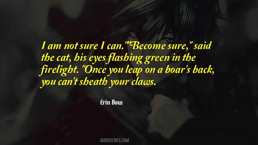 Erin Bow Quotes #996978