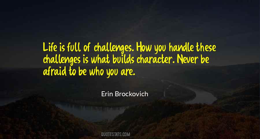 Erin Brockovich Quotes #387758