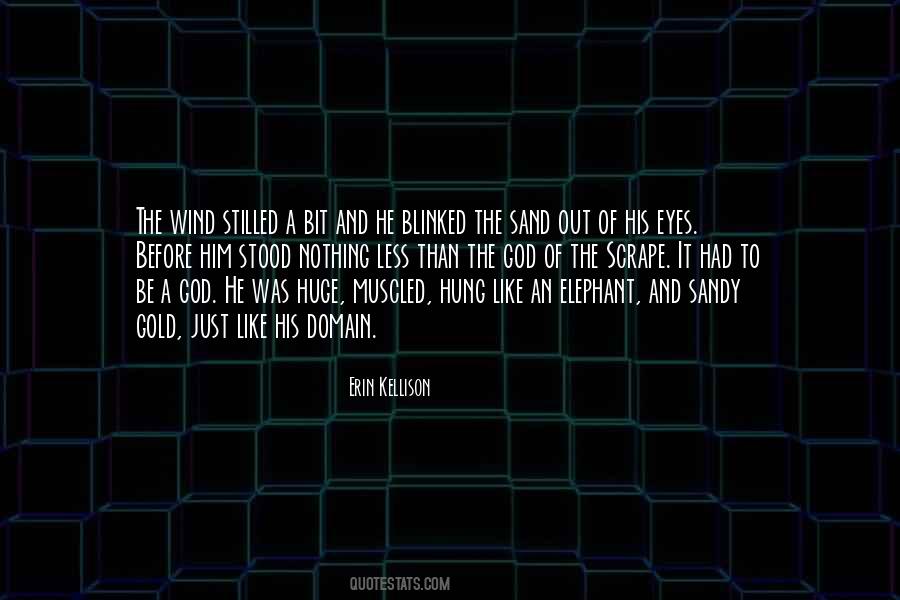 Erin Kellison Quotes #502114