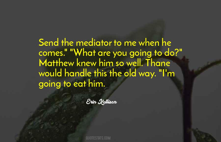 Erin Kellison Quotes #829029