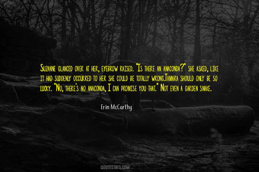 Erin McCarthy Quotes #454741