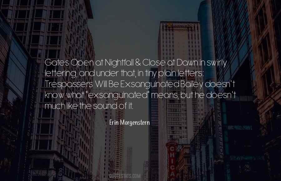 Erin Morgenstern Quotes #1647097