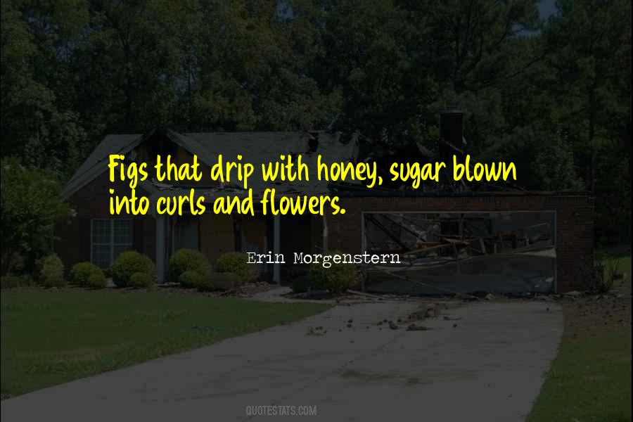Erin Morgenstern Quotes #225700
