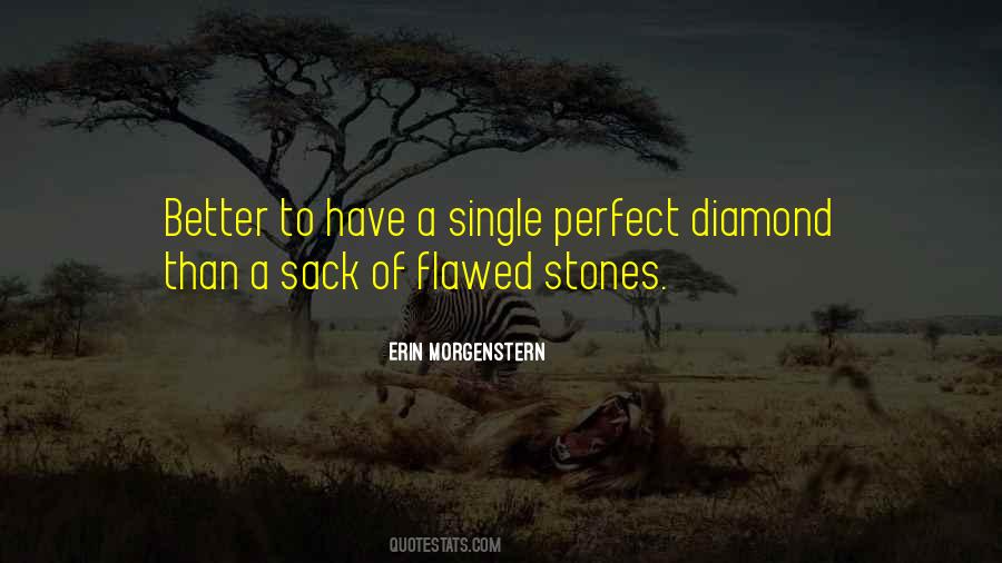 Erin Morgenstern Quotes #235746