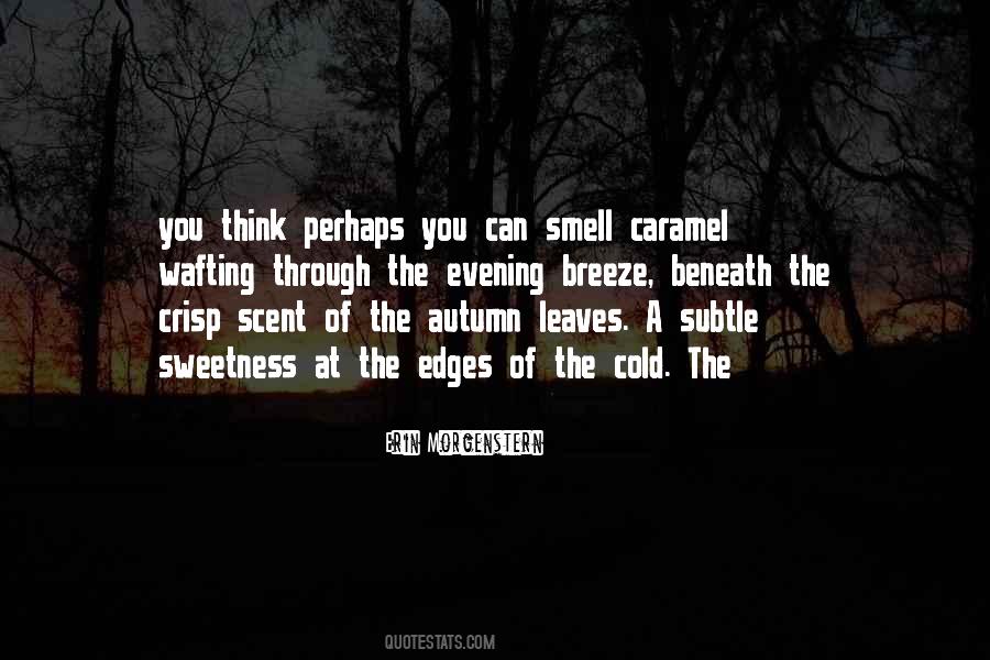Erin Morgenstern Quotes #337977