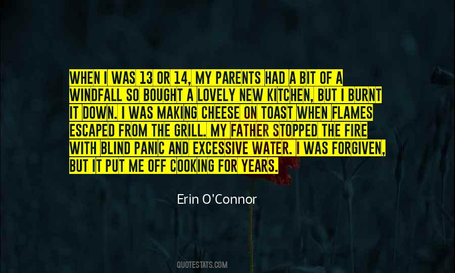 Erin O'Connor Quotes #49075