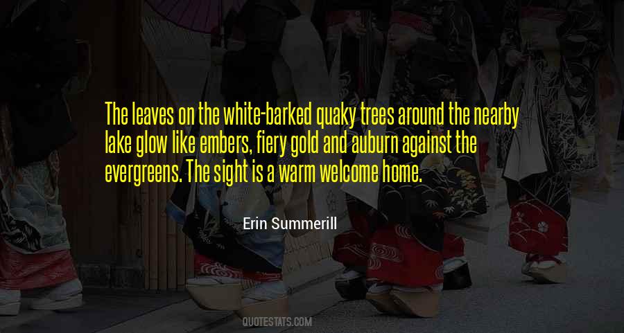 Erin Summerill Quotes #1248118