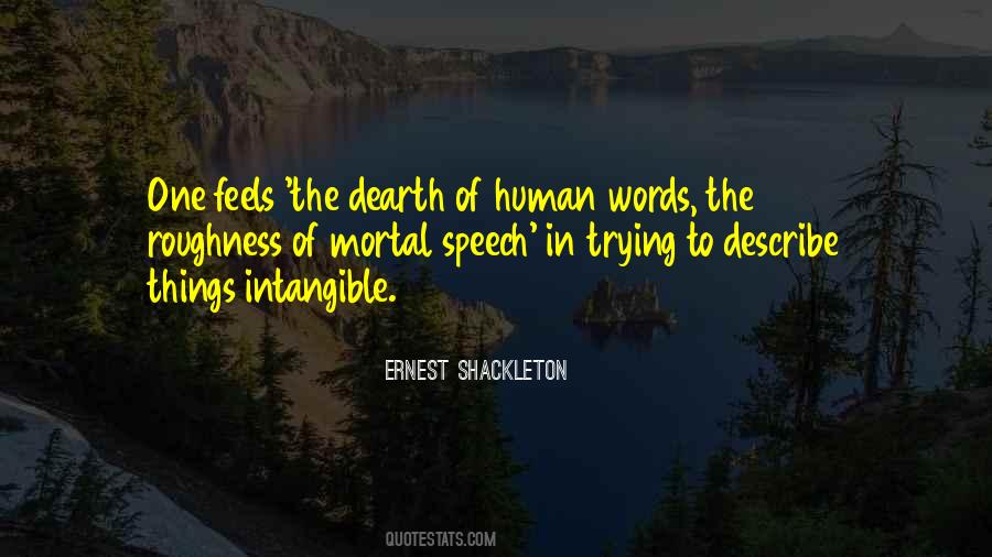 Ernest Shackleton Quotes #604255