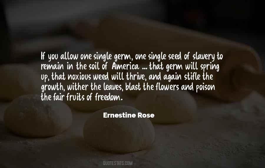 Ernestine Rose Quotes #858834