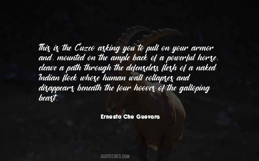 Ernesto Che Guevara Quotes #1184300