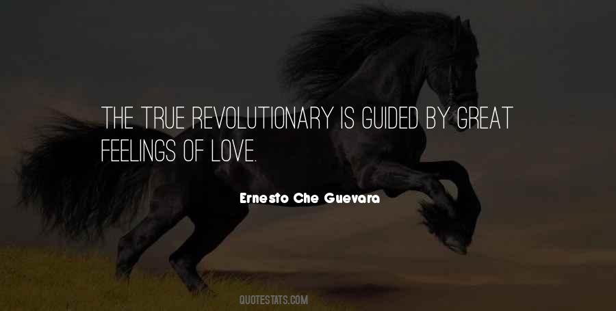 Ernesto Che Guevara Quotes #132988