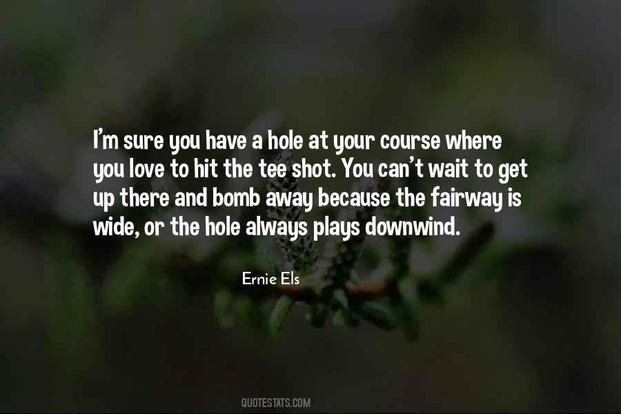 Ernie Els Quotes #442493