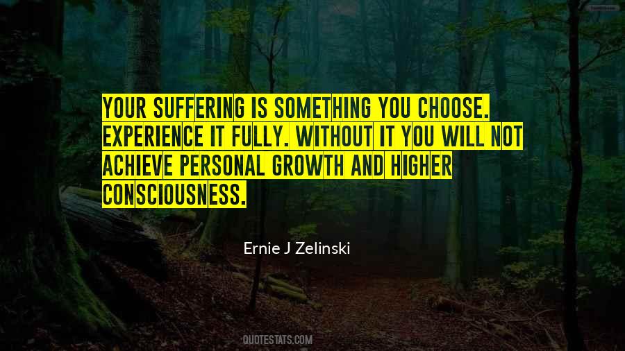 Ernie J Zelinski Quotes #1365071