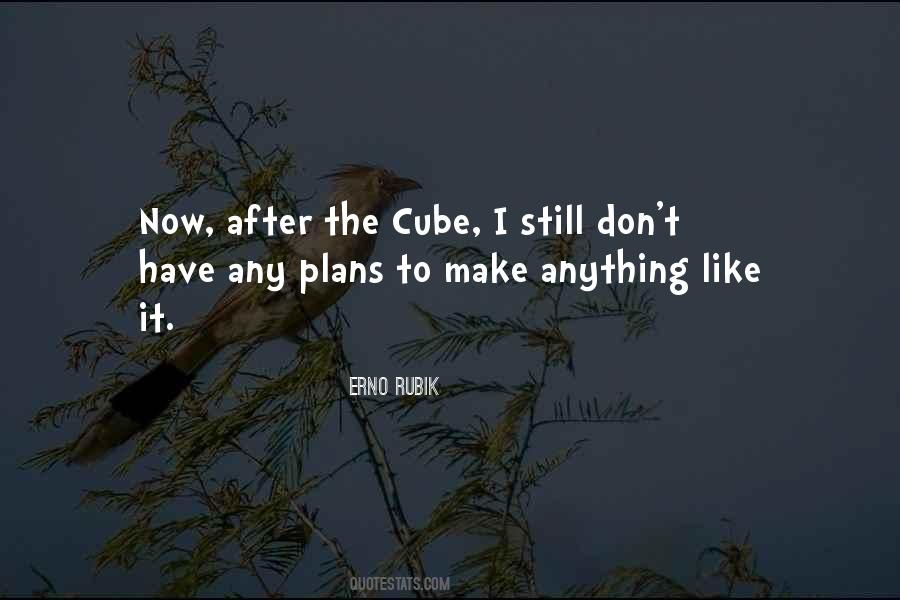 Erno Rubik Quotes #321012