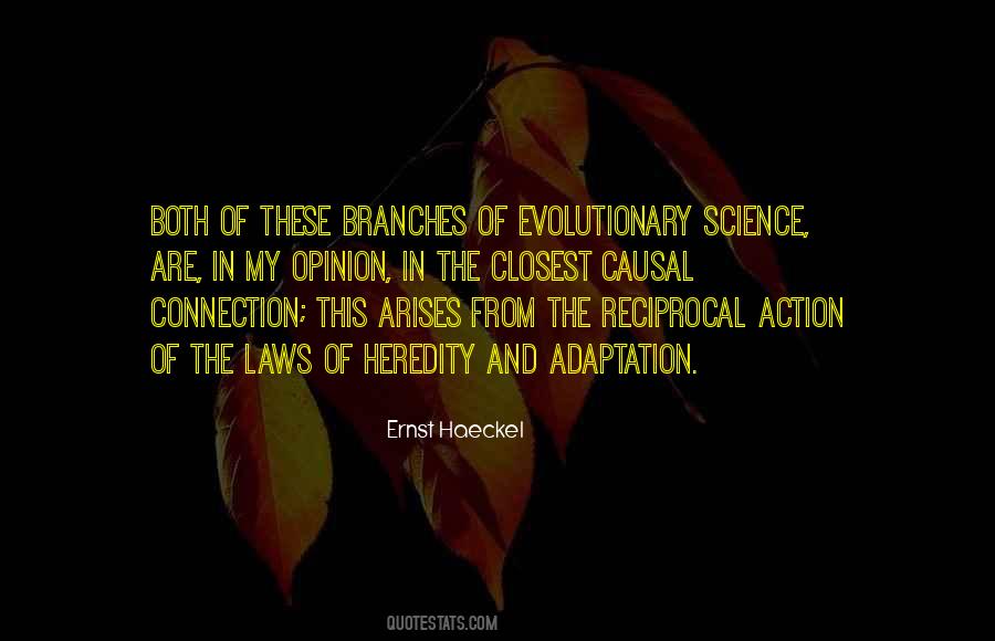 Ernst Haeckel Quotes #667072
