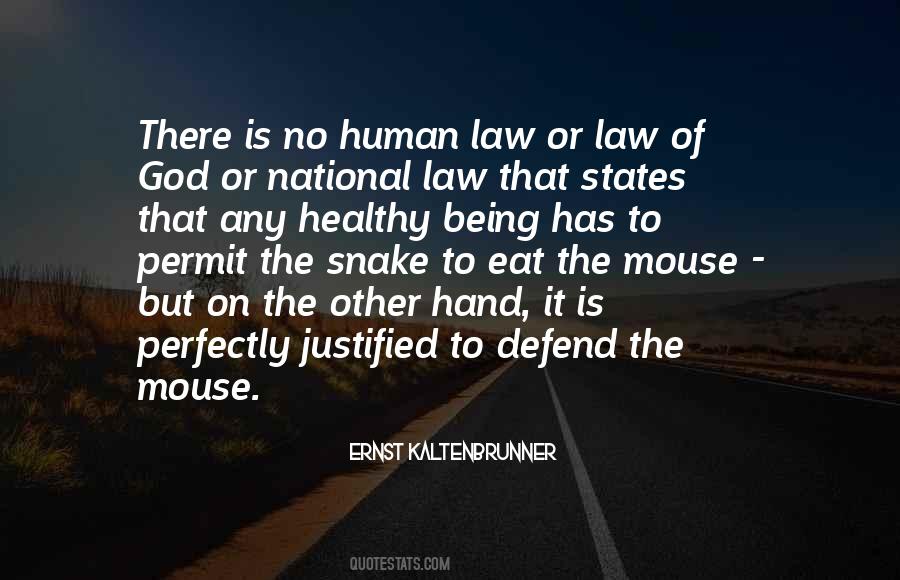 Ernst Kaltenbrunner Quotes #1561267