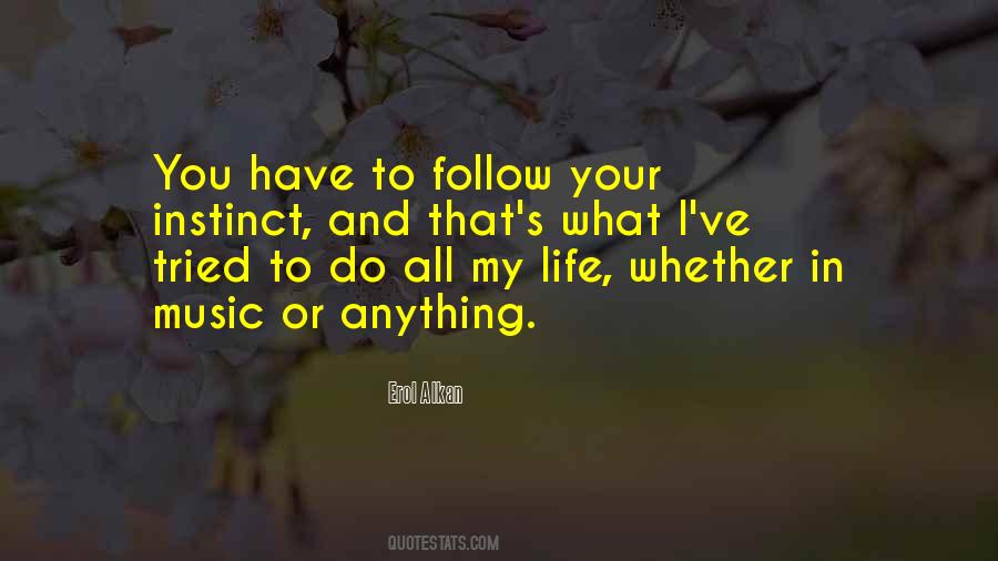 Erol Alkan Quotes #38482