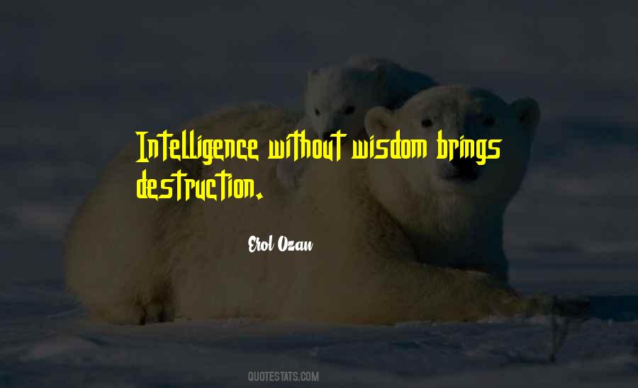 Erol Ozan Quotes #1821011 Erol Ozan Quotes #1821011