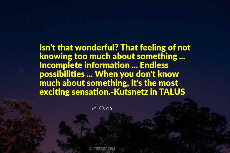 Erol Ozan Quotes #92439 Erol Ozan Quotes #92439