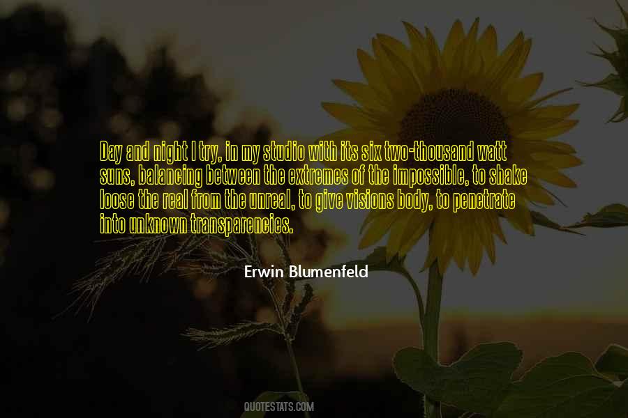 Erwin Blumenfeld Quotes #1736344