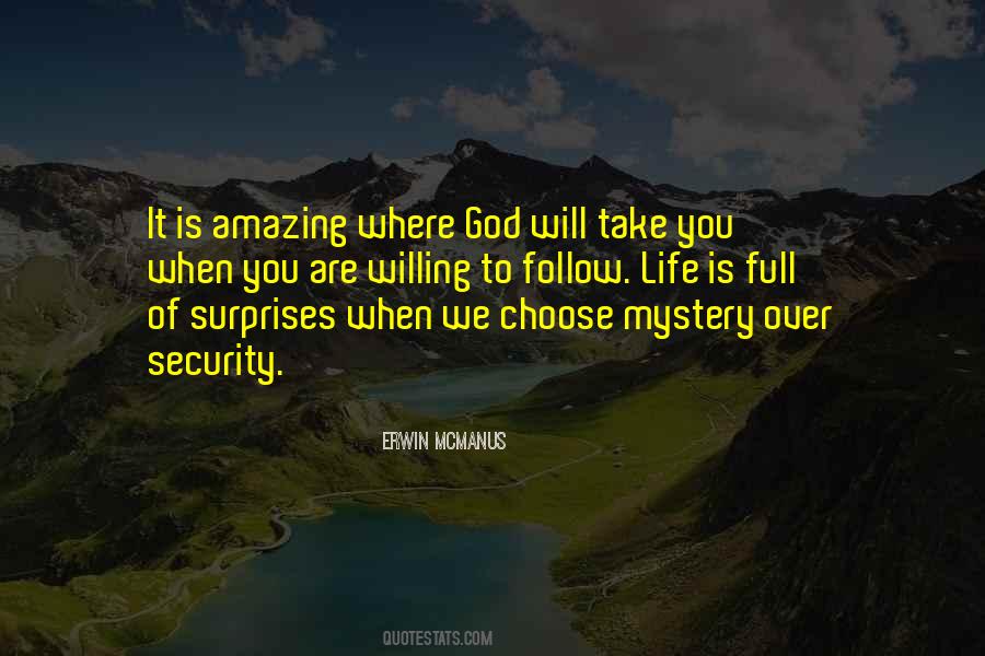 Erwin McManus Quotes #1135508