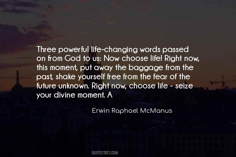 Erwin Raphael McManus Quotes #341502