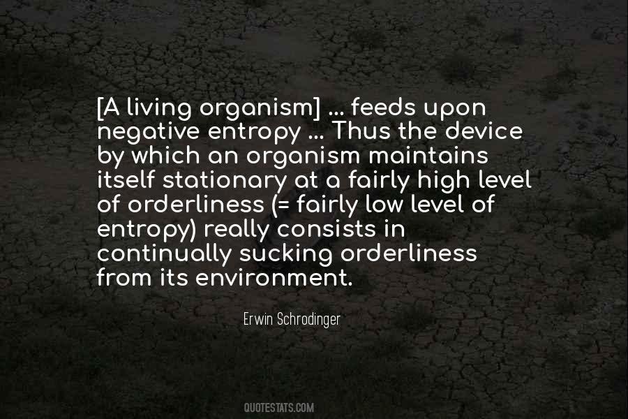 Erwin Schrodinger Quotes #1000944