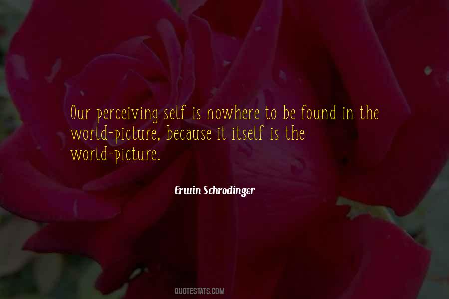 Erwin Schrodinger Quotes #1591835