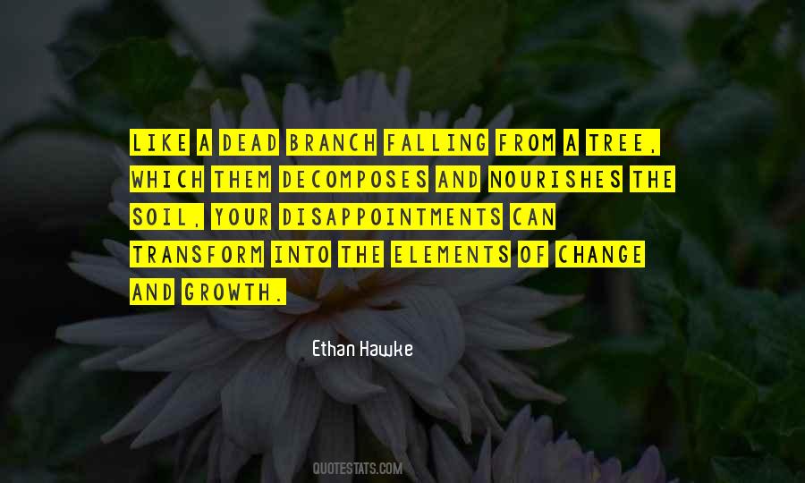 Ethan Hawke Quotes #1333010