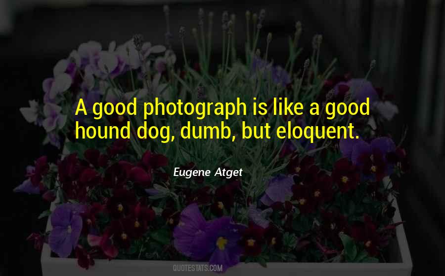 Eugene Atget Quotes #1657821
