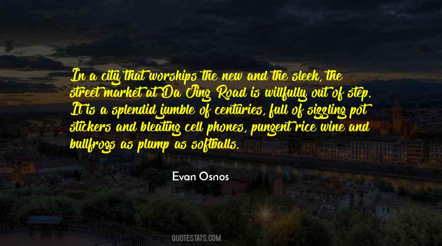 Evan Osnos Quotes #790155