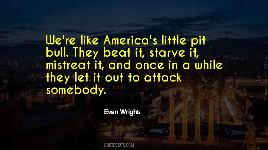 Evan Wright Quotes #1093958
