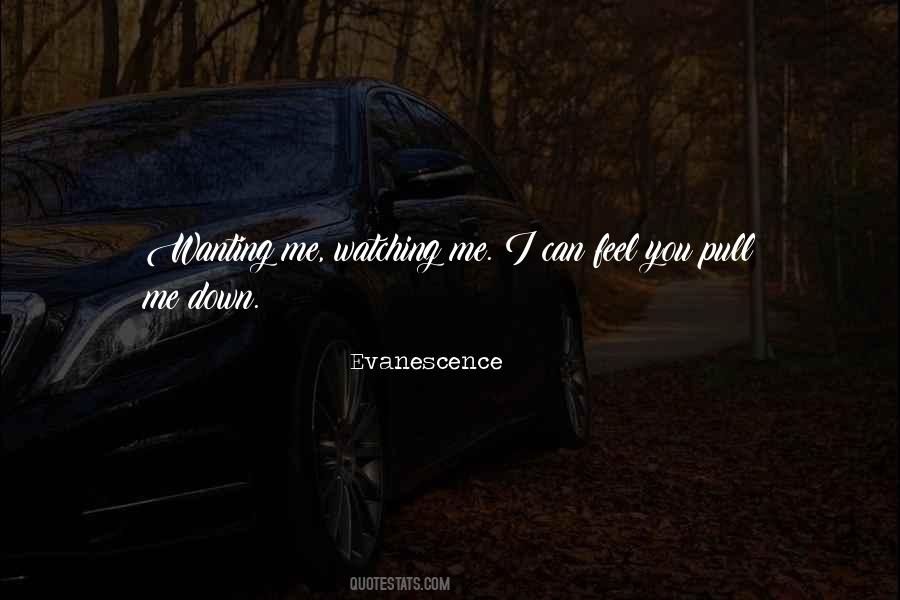 Evanescence Quotes #358375