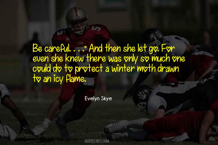 Evelyn Skye Quotes #407325