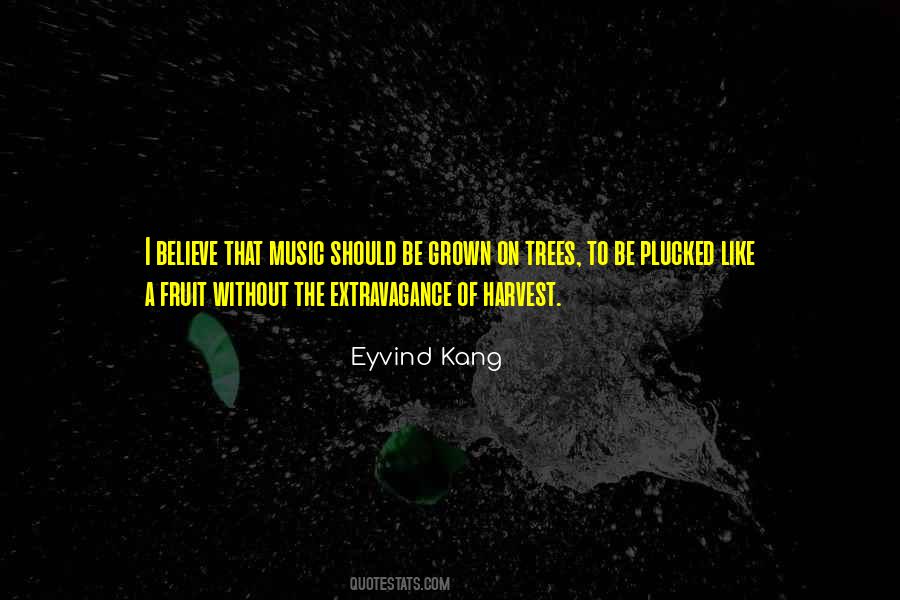 Eyvind Kang Quotes #107310