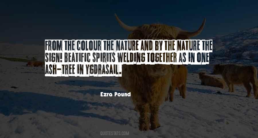 Ezra Pound Quotes #1475558