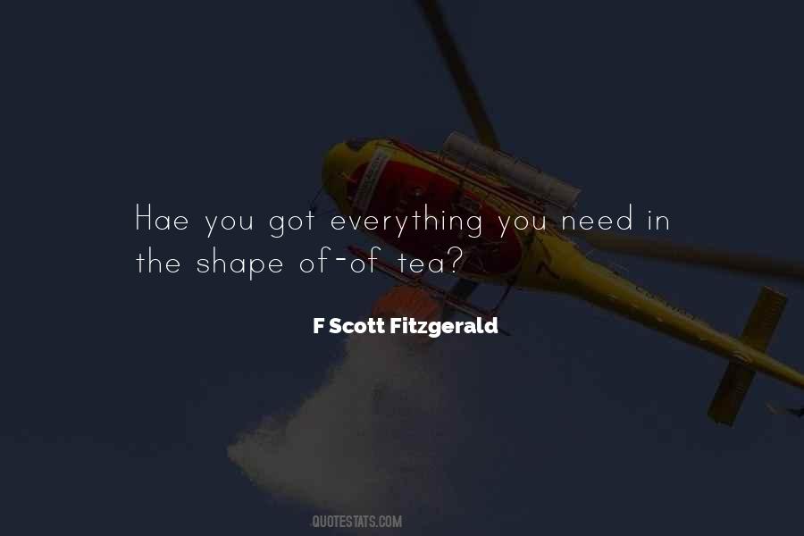 F Scott Fitzgerald Quotes #1742847