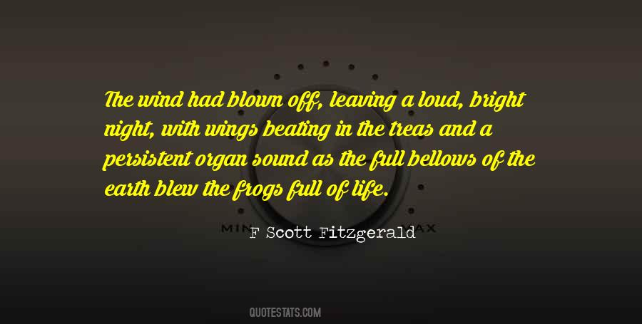 F Scott Fitzgerald Quotes #549024