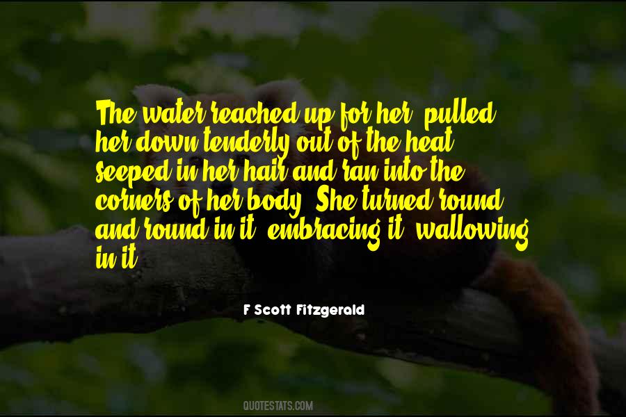 F Scott Fitzgerald Quotes #834794
