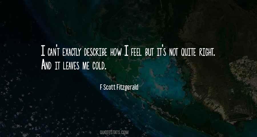 F Scott Fitzgerald Quotes #95761