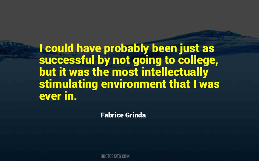 Fabrice Grinda Quotes #589729