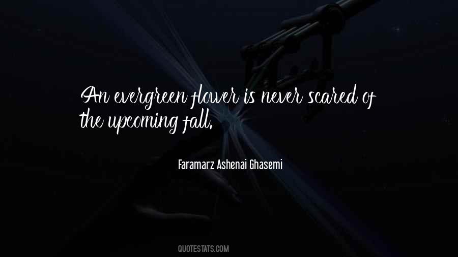Faramarz Ashenai Ghasemi Quotes #1856489