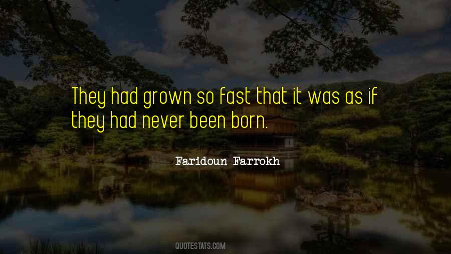 Faridoun Farrokh Quotes #33352