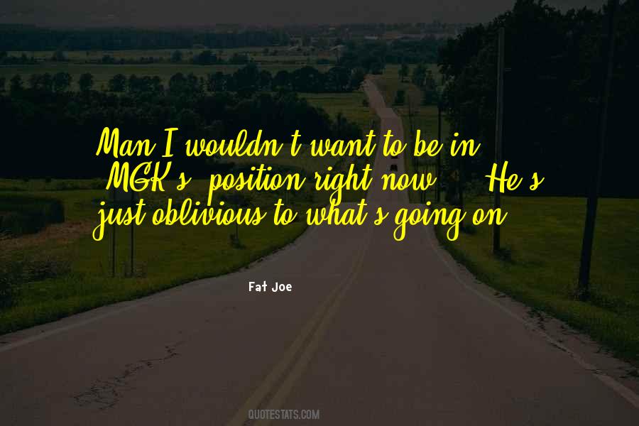 Fat Joe Quotes #347122