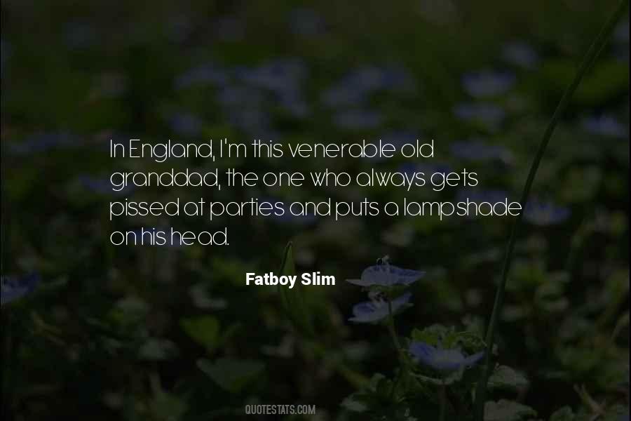 Fatboy Slim Quotes #1769298