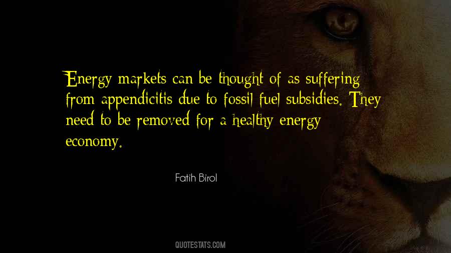 Fatih Birol Quotes #773381