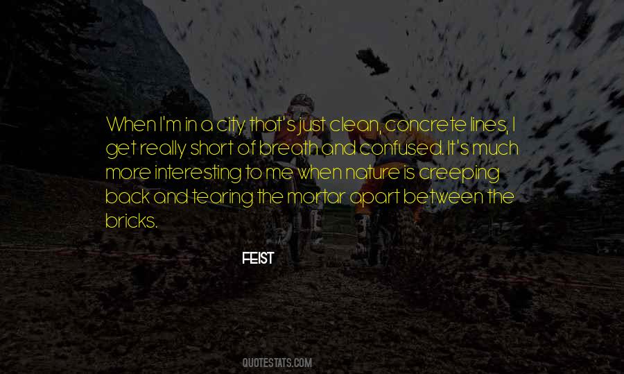 Feist Quotes #1073384