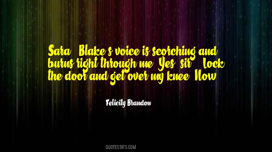 Felicity Brandon Quotes #971347